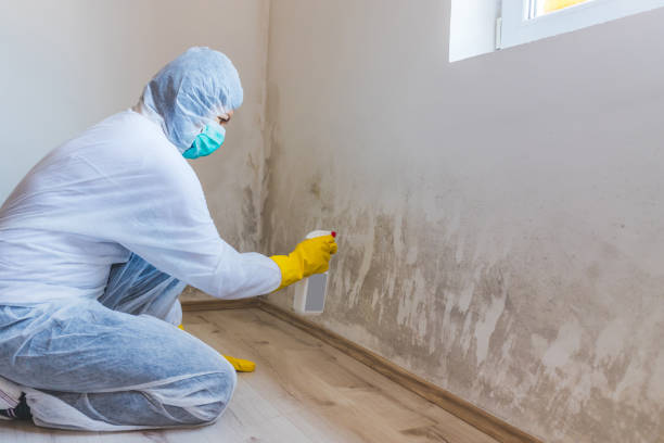 Mold inspector in Caldwell performing thermal imaging
