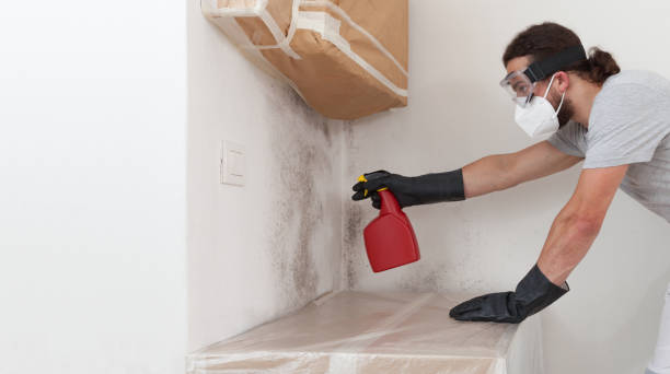 Basement Mold Remediation treatment on basement walls in Caldwell
